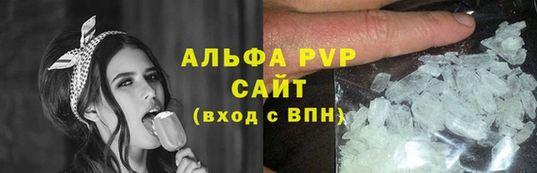 прущие грибы Протвино