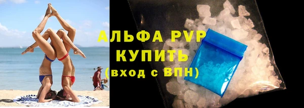 эйфоретик Богданович