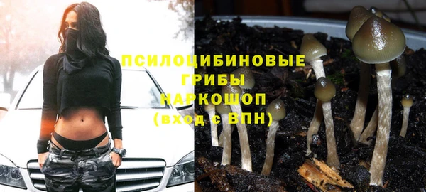 каннабис Богородицк