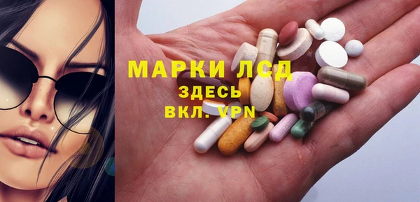 эйфоретик Богданович