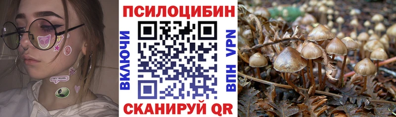 Галлюциногенные грибы мухоморы  Котельнич 